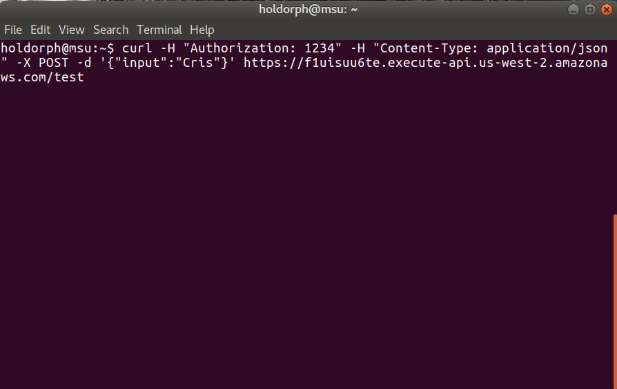 authorizer11 image